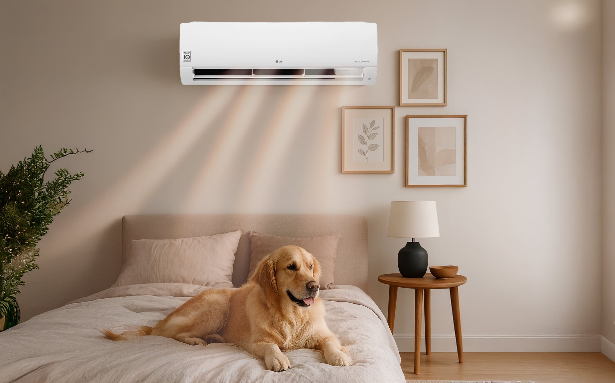 Save Big This Winter: Aircon vs Electric vs Gas – What Heats Best in South Africa?
