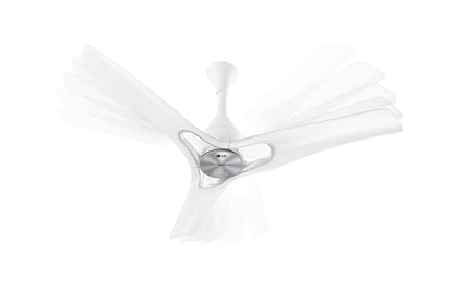 LG Ceiling Fan